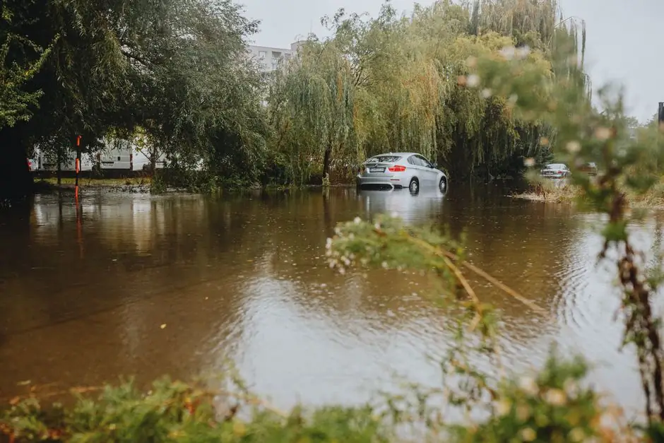 A car struggles through a flooded street surrounded by trees after a heavy rainstorm.